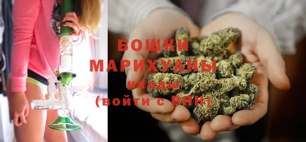 сатива Аркадак