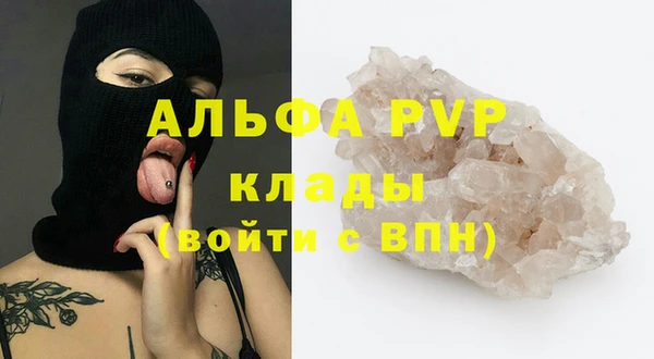 сатива Аркадак