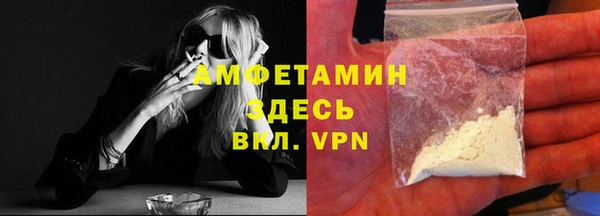 сатива Аркадак