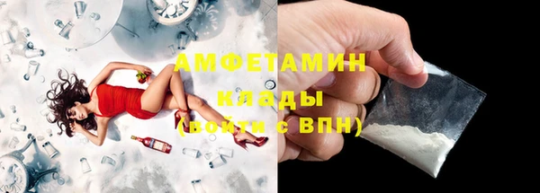 сатива Аркадак