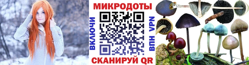 Псилоцибиновые грибы Cubensis  Дегтярск 